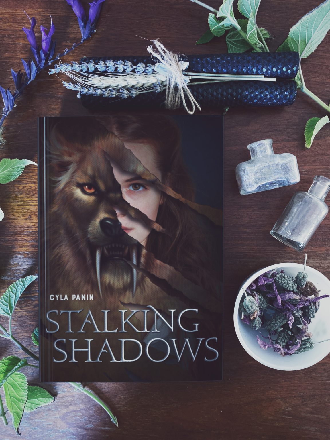 Stalking Shadows by Cyla Panin
